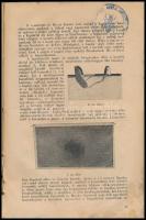 Bokor Jenő: A belterjes méhészkedés. Bp., é.n. Szerzői. Erősen sérült, vízfoltos vászonkötésben