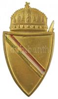 1919. "Nemzeti Hadsereg" részben zománcozott sapkajelvény (46x29mm) T:2 zománcozás egy része lepattogzott