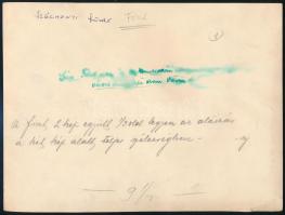 cca 1930 Fiat 521 automobil próbakocsi 583 felirattal vagy rendszámmal a lökhárítón, elegáns hölgy a...