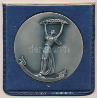 1970. Felszabadulási Csillagtúra 1945-1970 ezüstpatinázott fém emlékérem eredeti, Állami Pénzverő műanyag tokban (70mm) T:1-