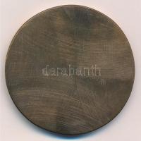 Fritz Mihály (1947-) "Rerrich Béla - A dóm tér építője" egyoldalas bronz emlékérem (55mm) ...
