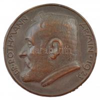 1923. "Dr. Rothmann Ármin" egyoldalas öntött bronz emlékérem (61mm) T:2