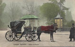 Florence horse carriage