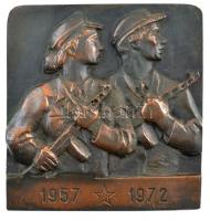 1972. 1957 - 1972 munkásőröket ábrázoló, felakasztható, bronzozott fém plakett (133x140mm) T:2