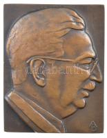 Beck András (1911-1985) 1977. Dr. Weil Emil 1897-1954, Jubileumi emlékülés 1977 öntött bronz plakett, hátoldalán gravírozva (68x53mm) T:1- hátoldalán ü.