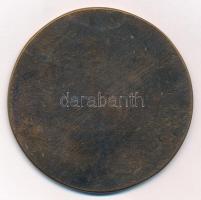 Fritz Mihály (1947-) DN "Radnóti Miklós" egyoldalas bronz emlékérem (73mm) T:1- kis patina