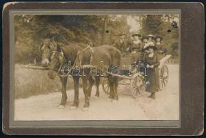 cca 1910 Brenner G És fia lovaskocsin, keményhátú kabinetfotó