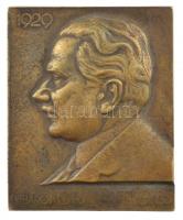 Csillag István (1881-1968) 1929. Dr. Báró Korányi Frigyes egyoldalas bronz plakett (68x55mm) T:2 kis patina  HP.: 1777.