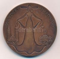 DN Szegedért Alapítvány / Kuratóriumi Díj kétoldalas bronz emlékérem (60mm) T:1-,2 pár kis karc