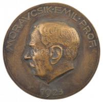 Reményi József (1887-1977) 1923. Moravcsik Emil Prof. egyoldalas öntött bronz emlékérem (62mm) T:2