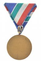 1970. "Árvízvédelemért" bronz kitüntetés mellszalagon T:1,1- kis patina 
NMK 663