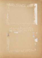 Antik, 1900 körüli fényképalbum szecessziós, japonizáló aranyozott ornamentikával díszített borítóva...