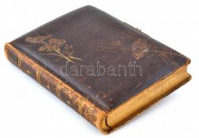 Antik, 1900 körüli fényképalbum szecessziós, japonizáló aranyozott ornamentikával díszített borítóva...