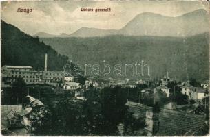 1925 Azuga, Vedere generala / general view (fa)