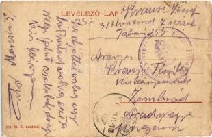 Zajzon, Zaizon-fürdő, Zajzonfürdő, Zizin; villák. 259. St. K. kiadása / villas + "M. kir. 313. ...