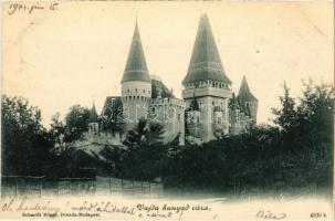 1901 Vajdahunyad, Hunedoara; vár. Schmidt Edgar kiadása / castle (EK)