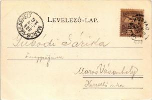 1901 Vajdahunyad, Hunedoara; vár. Schmidt Edgar kiadása / castle (EK)