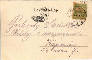 1904 Szabadka, Subotica; Szentháromság szobor és Batthyány utca. Vig. Zsigmond Sándor kiadása / Holy...