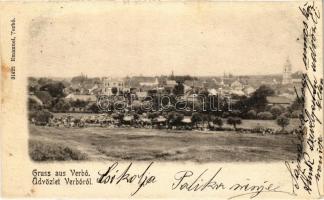 1901 Verbó, Vrbové; látkép a zsinagógával. Emanuel kiadása / general view with synagogue (fl)