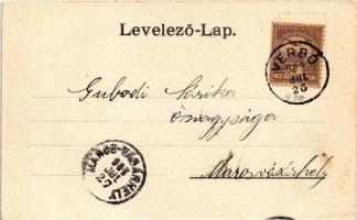 1901 Verbó, Vrbové; látkép a zsinagógával. Emanuel kiadása / general view with synagogue (fl)