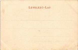 Kovácspatak, Kovacov; Nyaraló szálloda. Wallfisch S. kiadása / villa hotel (EK)