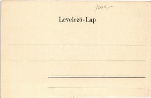 1902 Fogaras, Fagaras; Vár. A. Wazek kiadása / Schloss / Cetate / castle (EK)