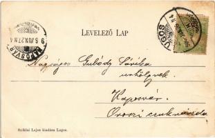 1906 Lugos, Lugoj; Pénzügyi palota, Igazságügyi palota, Színház. Sziklai Lajos kiadása / financial d...