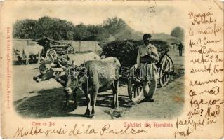 1901 Care cu Boi. Salutari din Romania / Román folklór, ökrösszekér / Romanian folklore, ox cart (EK)