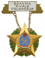 ~1950. Szakma kiváló dolgozója babérkoszorús, Rákosi-címeres, aranyozott, zománcozott bronz kitüntetés T:2