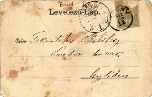 1902 Abony, Abonyi Lajos lakóháza (EM)