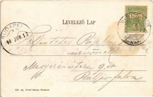 1905 Visegrád, nyaraló, villa. Divald Károly 927. sz. (EK)