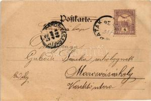 1900 Sárospatak, város látképe