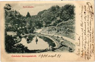 1900 Sárospatak, park (EK)