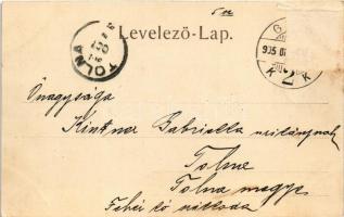 1905 Győr, Széchenyi tér, Győri Lloyd, piac. Röszler Károly kiadása (Rb)