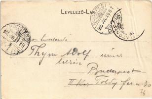 1905 Balatonföldvár, nyaralók, villák. Bem Gyula kiadása (szakadás / tear)