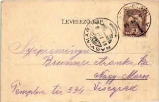 1901 Balatonfüred, Fürdőház. Grüner Simon kiadása