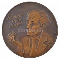 Fritz Mihály (1947-) DN Dr. Varannai Gyula 1905-1973 egyoldalas bronz emlékplakett (101mm) T:1- patina