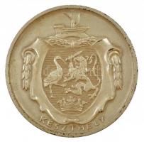 1974. Keszthely / Éremgyűjtők Keszthelyi Csoportja - 20 éves a városunk kétoldalas ezüstözött bronz emlékérem (70mm) T:2 kopott ezüstözés