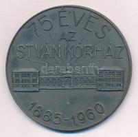 1960. 75 éves az István Kórház 1885-1960 kétoldalas fém emlékérem, hátoldalán számos főorvos nevével (59mm) T:2 patina, kis ü.
