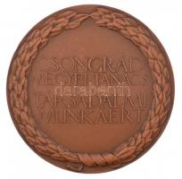 DN "Csongrád Megyei Tanács - Társadalmi Munkáért" kétoldalas bronz emlékérem (70mm) T:1- p...