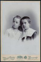 cca 1890 Testvérek, keményhátú fotó Uher Ödön budapesti műterméből, 16×10,5 cm