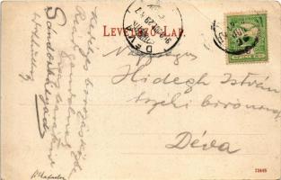 1908 Borszék, Borsec; Bejárat a fürdőbe / spa entrance (EB)