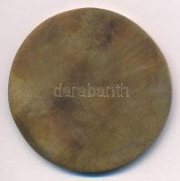 Fritz Mihály (1947-) DN "Tömörkény István" egyoldalas bronz emlékérem (53mm) T:1- kis pati...