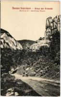 1914 Anina, Stájerlakanina, Stájerlak, Steierdorf; Bozovicsi út. Hollschütz kiadása és felvétele / Bozovicser Strasse / Bozovici road (EK)