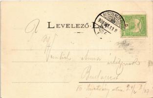 1908 Bethlen, Beclean; A Bilak-hegy a Szamos mellett (Port-Arthur). Kajári István kiadása / mountain...