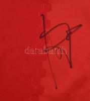 Juan Mata (Juan Manuel Mata García, 1988- ) spanyol labdarúgó, a Manchester United volt játékosa ált...