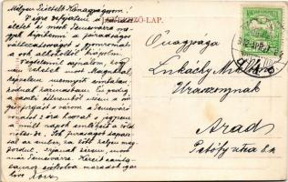 1912 Nagykikinda, Kikinda; Piactér, Schuld Péter üzlete. W.L. Bp. 2122. / market, shops (EK)