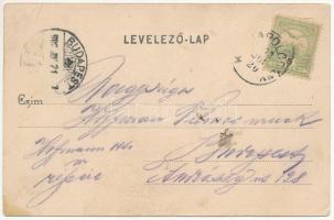 1902 Kistapolcsány, Topolcianky; József Ágost kir. főherceg kastélya. Brunczlik Imre kiadása / castl...