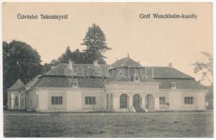 Takcsány, Stakcín; Gróf Wenckheim kastély / Schloss / castle (EK)