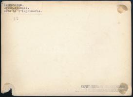 cca 1940 Nyomóterem, Kispesti Textilgyár Részvénytársaság, feliratozva, pecséttel, sarokhiánnyal, 12...